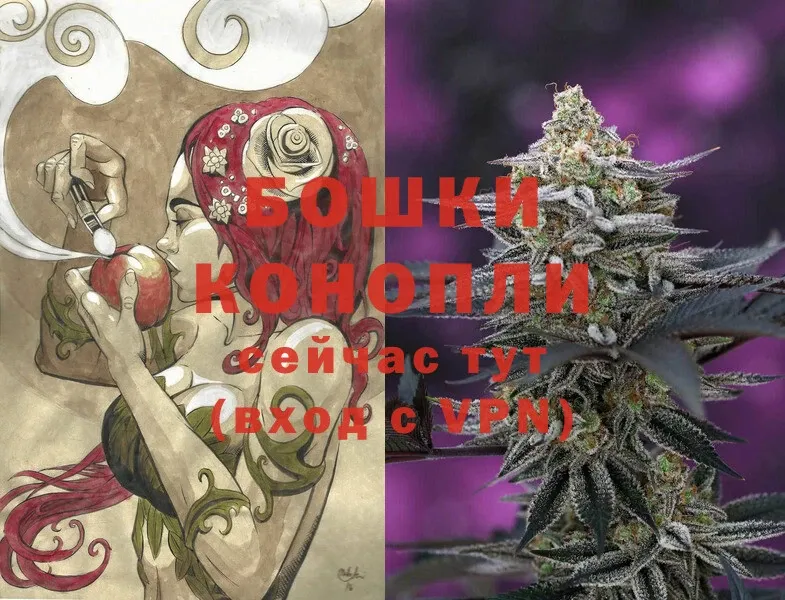 Конопля SATIVA & INDICA  где продают   Лодейное Поле 